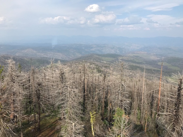 strawberry mountain views