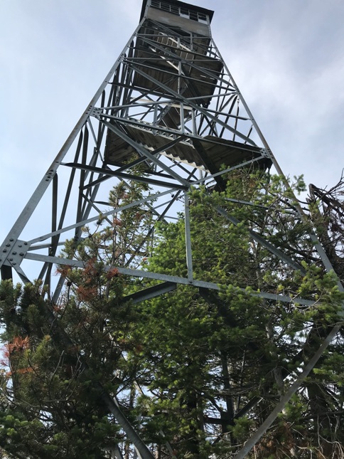 strawberry lookout tower