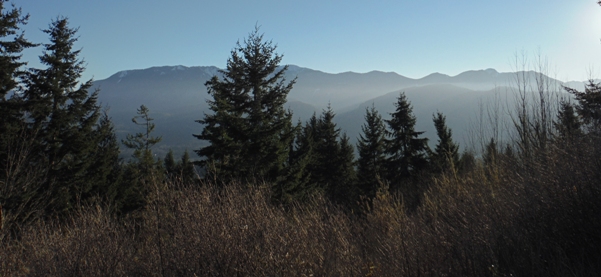 Olympic Mountains