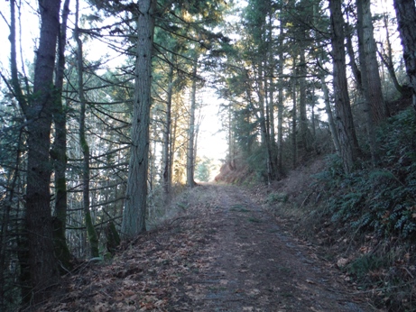 striped peak road