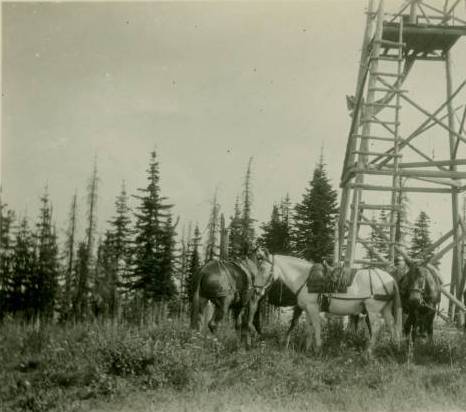 Ranger Station