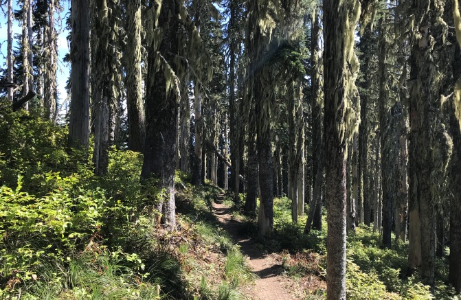 Quartz Creek Ridge