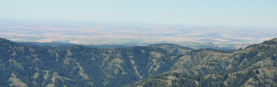 Columbia Plateau