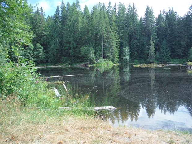 Texas Pond 