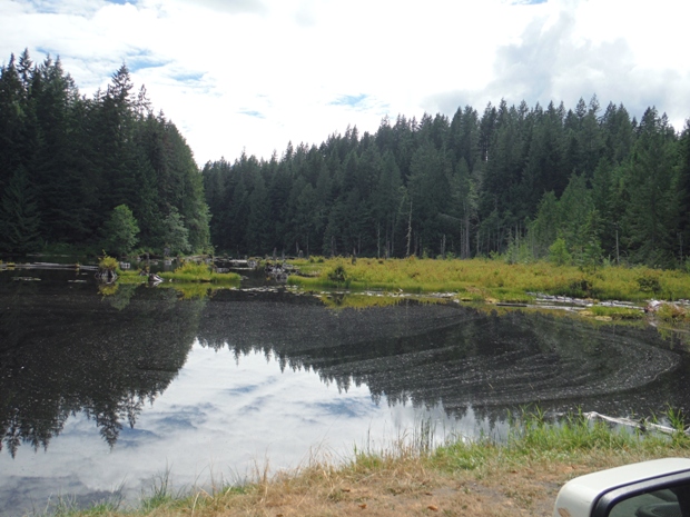 Texas Pond 