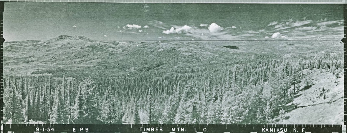 Timber Mountain 