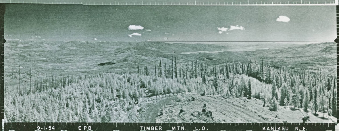 Timber Mountain 