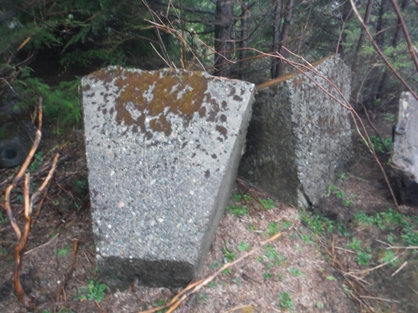 trap creek lookout site