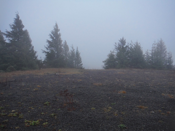 trap creek lookout site