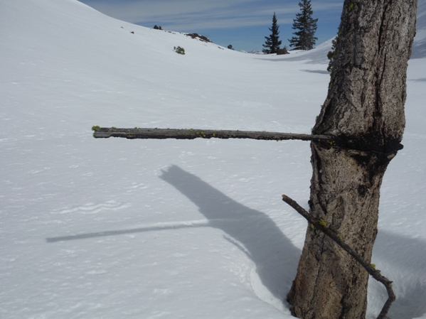 leavenworth lookout