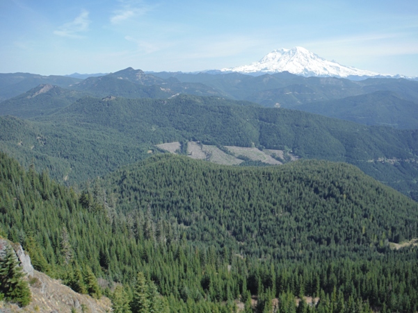 Mount Rainier