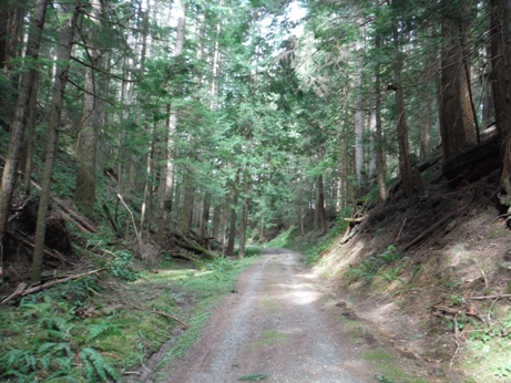 bellingham hiking