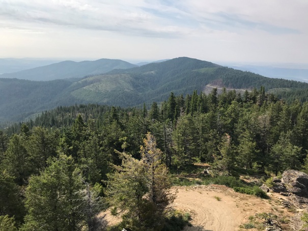 Whitestone Ridge Lookout