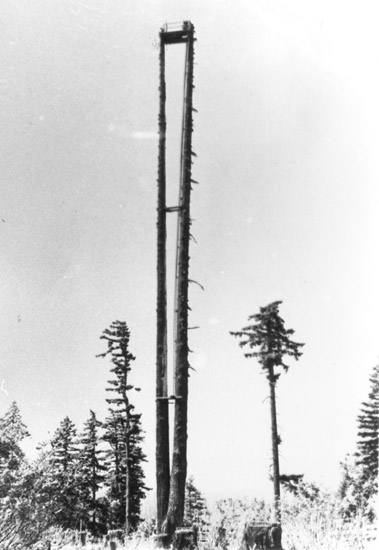 weyerhaeuser