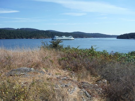 washington ferry