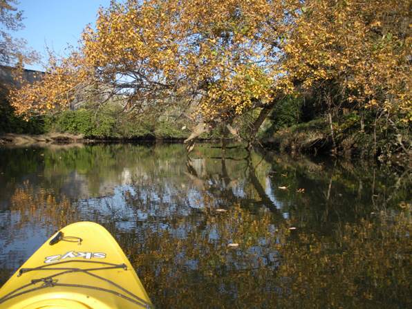 Duwamish River 