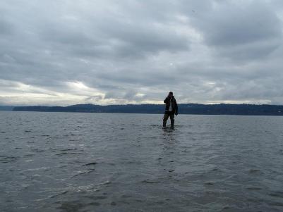 skagit bay