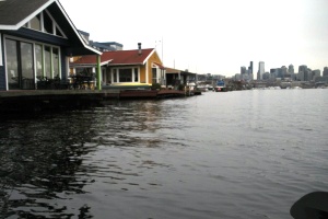 lake union paddle