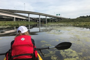 Mercer Slough