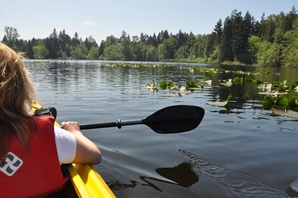 kayak federal way