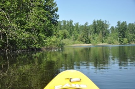 kayak washington