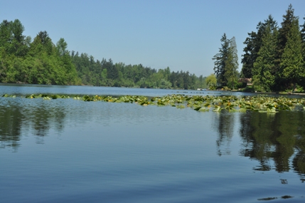 North Lake 