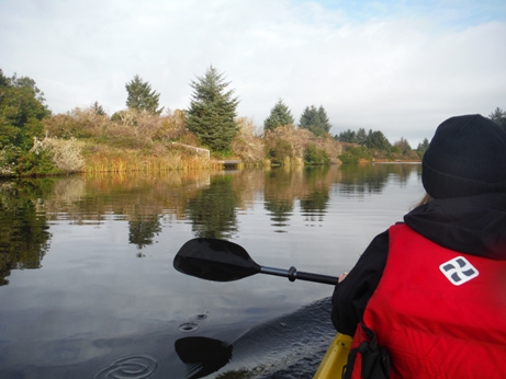 kayak ocean shores