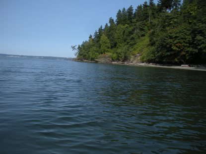 kayaking puget sound