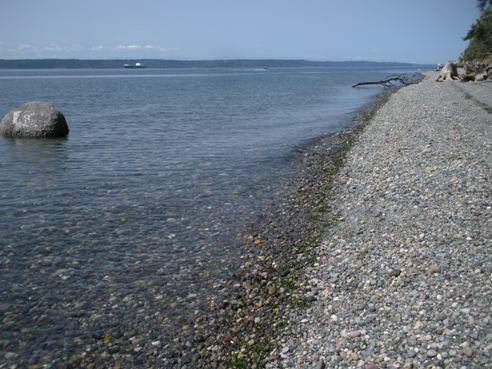 Marine View beach