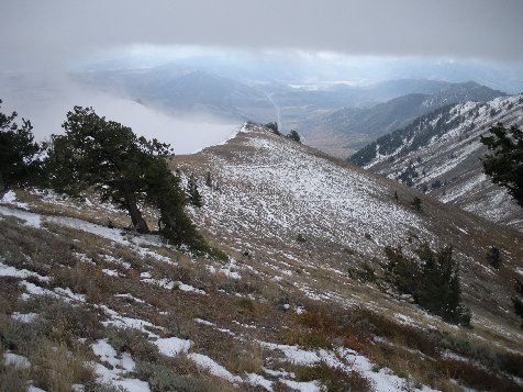 trail up Box Elder Peak