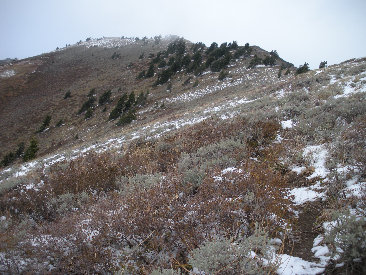 ridgeline of Box Elder Peak