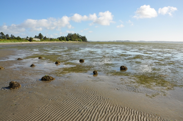 bottle beach