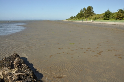 bottle beach