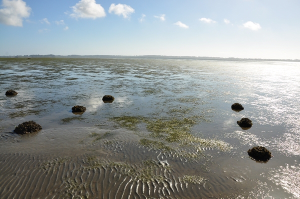 bottle beach