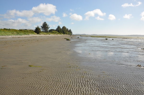 bottle beach