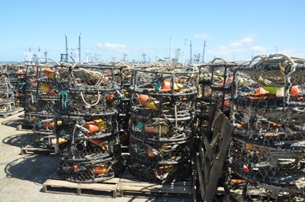 Crab pots