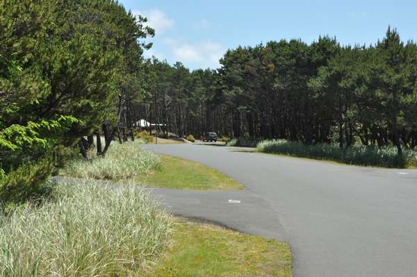 Grayland Beach campground