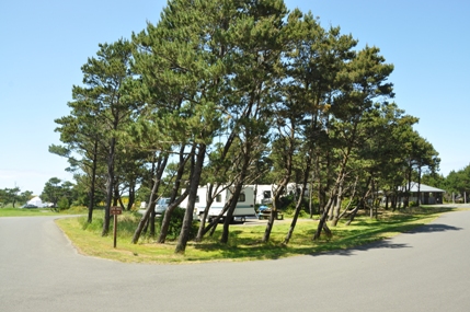 Grayland Beach Campground
