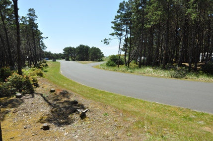 Grayland Beach campground