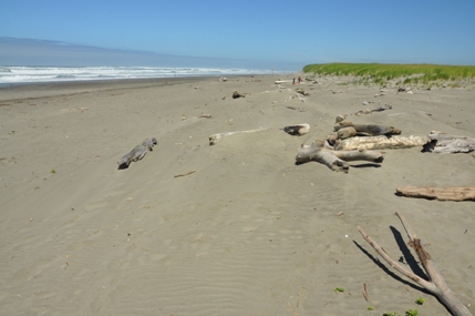 twin harbors state park