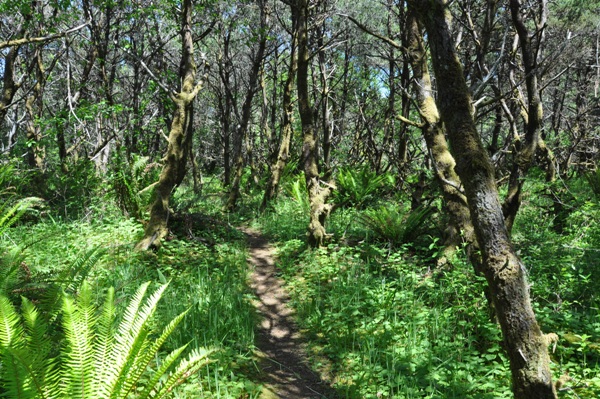 twin harbors hiking trails