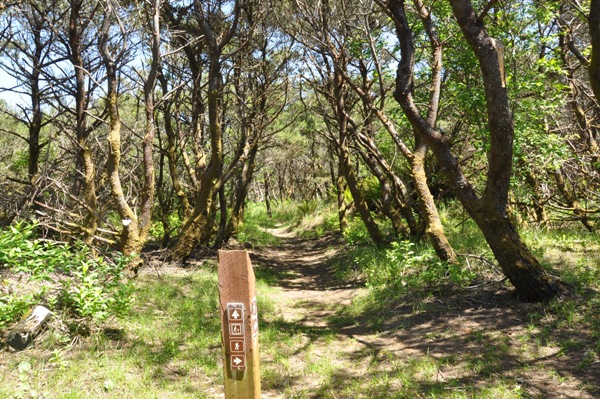 twin harbors hiking trails