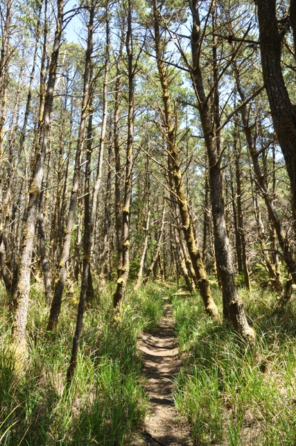 twin harbors hiking trails