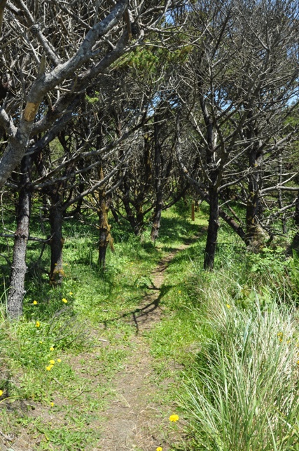 twin harbors hiking trails