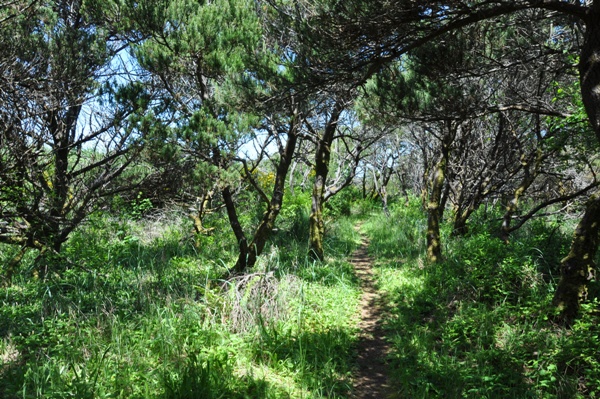 twin harbors hiking trails