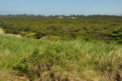 twin harbors state park