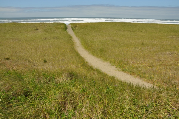 washington beaches