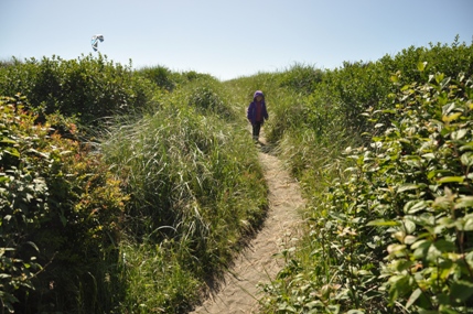 Beach trail