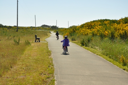 Dunes Trail 