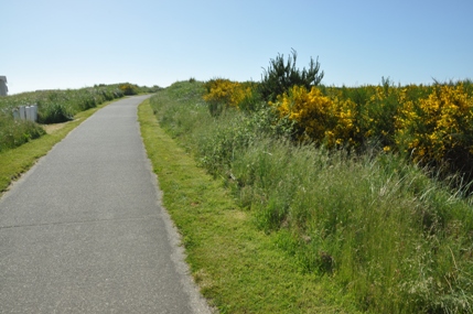 Dunes Trail 